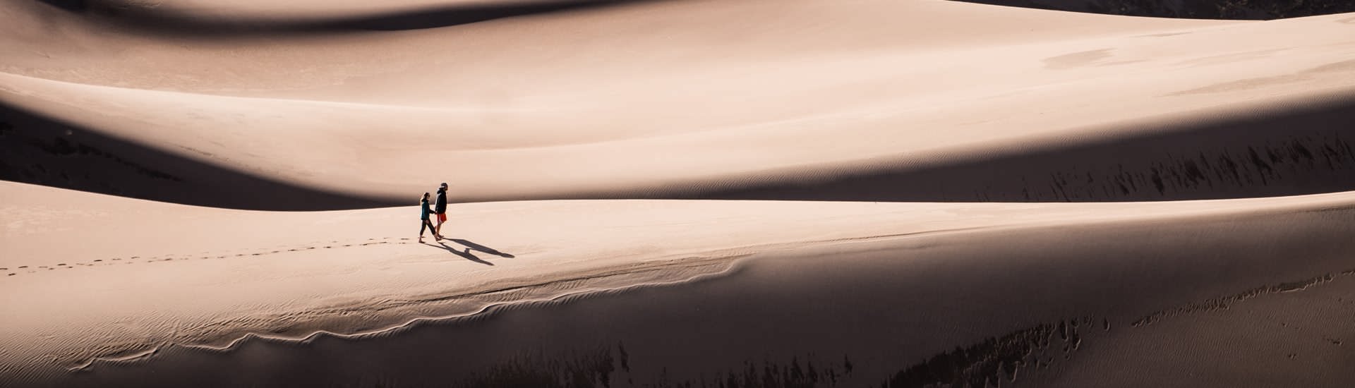 Skip traces investigations