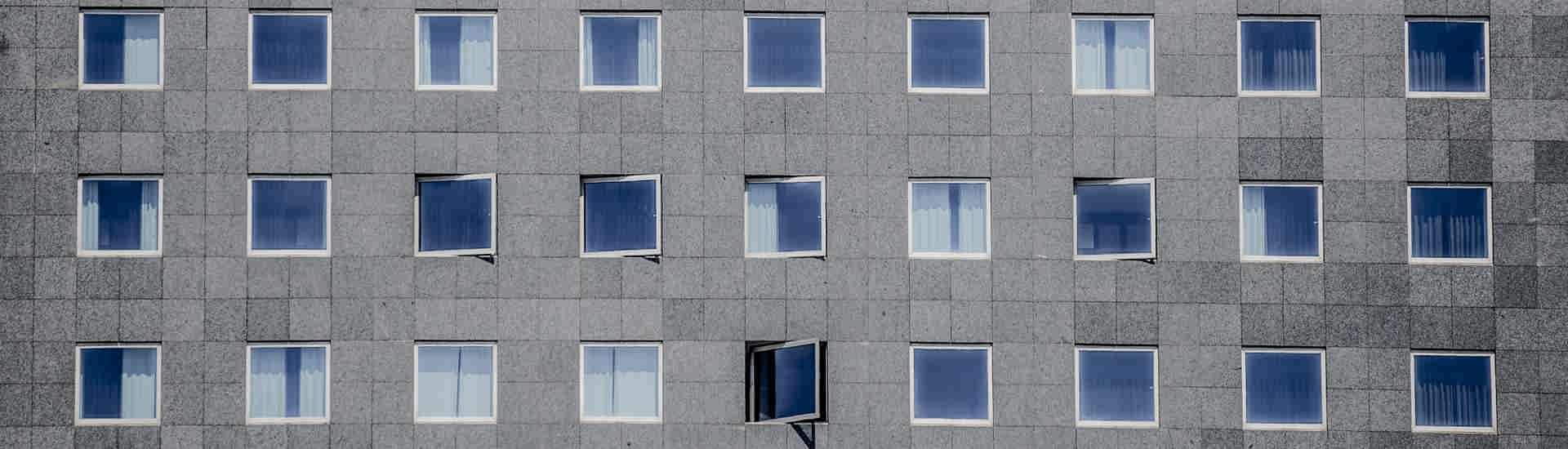 investigate asset searches and fraud